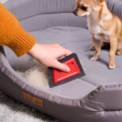 acbbf777-dfb2-4e12-b815-85f559689a36.jpg Mini Pet Hair Remover Reusable Advanced Pet Hair Removal Tool For Couch Rugs