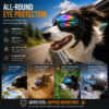 adaa3ebe-c00c-477d-8222-627717b2a785.jpg Dog Goggles For Medium & Large Dogs