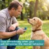 b1b1fb3a-e973-4463-83a5-eb198fd093ab.jpg Dog Training Clicker With Sring Wrist And Keyring Pet Dog Training Clickers For Puppy, Cat