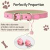 b5a3647b-ccf2-4e8d-b10d-5f2ca6d21c42.jpg Pet Bells For Collars, 6pcs Dog Bells Cat Bells Multi Color Dog Collar Charms Pet Pendant Accessories With Clasps