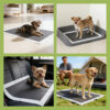 Activated Charcoal Dog Pads