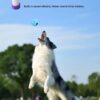 Pet Interactive Sound Ball,The Mellow Dog Cat Pet Voice Ball,Interactive Pet Squeaky Toys