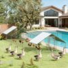 bbe2dc87-3986-4a1f-84b2-c688212d71bc.jpg Large Pet House,Chicken Coop,Outdoor Hen House,Duck House