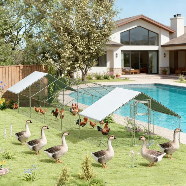 bbe2dc87-3986-4a1f-84b2-c688212d71bc.jpg Large Pet House,Chicken Coop,Outdoor Hen House,Duck House