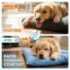 Extra-Large Summer Cooling Mat Dog Sofa Bed,Ultra-Soft, 8 Compartments, Extra-Large Plush Dog Sofa Bed,Super Soft, Thick Polyester Pet Mat With A Non-Slip Bottom