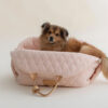 bf0cc3a2-eb7c-4aed-a3a8-c231e2fc4b7e.jpg Pet Handbag Outdoor Cat Handbag