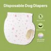 Disposable Female Dog Diapers