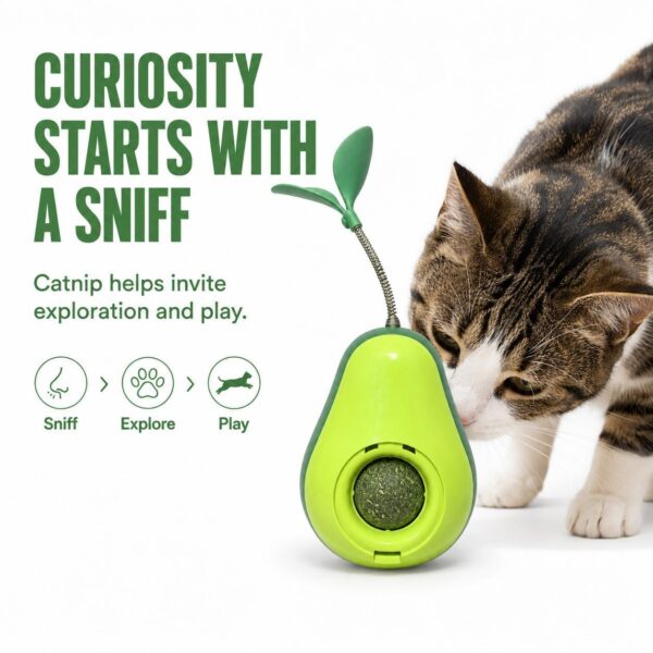 c49cd2e1-e814-41e2-a417-656121bcf69c.jpg Avocado-Shaped Cat Tumbler Toy Interactive Wobble Toy That Self-Rights Includes Replaceable Feather & Catnip Ball Indoor Toy For Exercise, Entertainment, And Boredom Relief For Kittens