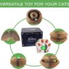 c90d39ce-f557-45f7-8017-3e5f61389fd2.jpg 1 Pack Kitty Kurlz Cat Scratcher Toy Interactive For Indoor Cats