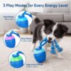 c997d055-2668-44f5-9226-570a48165d3a.jpg 2026 Upgraded Smart Interactive Dog Toy Ball Boosts Intelligence Fitness For Small Medium Large Dogs Fits Indoor Hardwood Floors Outdoor Carpet Randomly Comes With 1 Spare Chew Rope