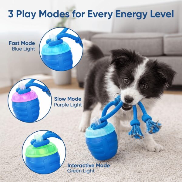 c997d055-2668-44f5-9226-570a48165d3a.jpg 2026 Upgraded Smart Interactive Dog Toy Ball Boosts Intelligence Fitness For Small Medium Large Dogs Fits Indoor Hardwood Floors Outdoor Carpet Randomly Comes With 1 Spare Chew Rope