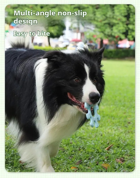 d033c831-66d4-4129-b242-c4c75dc06f56.jpg Pet Interactive Flywheel,Dog Toy,Fun Interactions Buildstronger Bonds