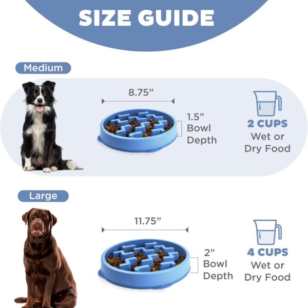 d18063c1-3284-4a6f-bb73-81484e6e4ae5.jpg Feeder Slo Bowl Medium 2Cup Capacity, Slow Feeding, Small To Medium Dogs Cats, Non Slip, Blue, Notch Pattern
