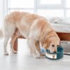 d8bfc2c1-6cba-4b48-93fd-692c2e501920.jpg 1Pc Heated Water Bowl For Dog Cat 74.4OZ Heating Water Dish IP67 Waterproof Thermal Water Bowl Heated Pet Bowl Dog Cat Water Feeder Bowl For Dog Cat Rabbit Pet