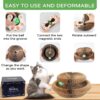e53916a4-b830-4f97-a11a-8302f4ba6822.jpg 1 Pack Kitty Kurlz Cat Scratcher Toy Interactive For Indoor Cats
