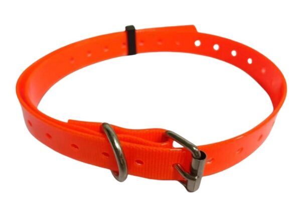 e57bd2d2-8c5e-47d9-82d3-84794fa528a4.jpg Pet Dog Collars Pet Training Dog Training Equipment
