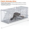 e5d3a639-1dc9-4a6b-a0bd-2c768e4338ed.jpg 1Pc Live Animal Trap Cage 37x14x15in Folding Catch And Release Humane Cat Trap Galvanized Iron For Raccoons Foxes Coyotes Stray Dogs Armadillos Squirrels