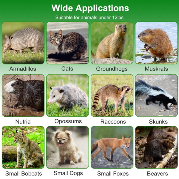 f0fd76e1-16a9-4e8b-a523-c0cbae7e0d1b.jpg 32in 2 Door Live Animal Cage Trap With Glove Green For Animals Under 12LBS Easy To Setup Humane Galvanized Iron Trap Cage For Rabbits Groundhogs Skunk Opossums Nutria Stray Cats
