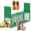 f1af9f7f-bf0f-4e88-bb12-b0660f9f3c80.jpg 32in 2 Door Live Animal Cage Trap With Glove Green For Animals Under 12LBS Easy To Setup Humane Galvanized Iron Trap Cage For Rabbits Groundhogs Skunk Opossums Nutria Stray Cats