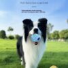 Pet Interactive Sound Ball,The Mellow Dog Cat Pet Voice Ball,Interactive Pet Squeaky Toys
