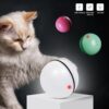 f8b4af5c-bb82-41a4-ba50-bbe0fb94aef2.jpg LED Laser Electronic Rolling Pet Funny Cat Toy Ball