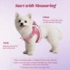 f8fb6cd2-6dd3-4343-b517-6fb8f8c5c77e.jpg No Pull Dog Puppy Harness And Leash Set Reflective Mesh Vest