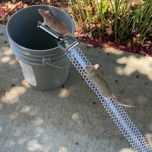 fbcaf985-2c6b-4c7a-8b92-79567b40fb95.jpg Reusable Mice Rat Mouse Killer Roll Trap Log Rolling
