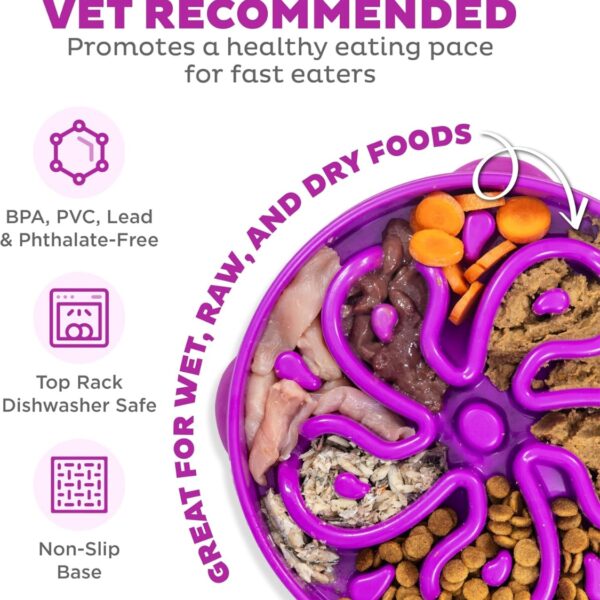 fcac479c-b1e1-49b1-b450-aa69e99a6f29.jpg Hound Feeder Slo Bowl Large 4 Cup Capacity, Slow Feeding, Medium To Large Dogs, Non Slip, Purple, Flower Pattern