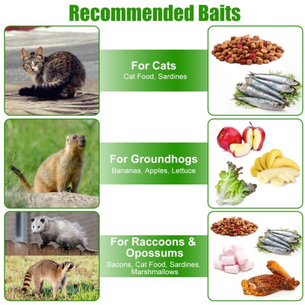 fdc76be6-e29d-4bac-8750-5e08cc2736ec.jpg 1Pc Humane Cat Trap Cage With Waterproof Cover Gloves Catch Release Live Animal Rodent Cage Collapsible Galvanized Wire For Raccoons Beavers Groundhogs Foxes Armadillos