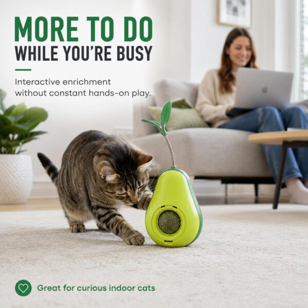 ff487936-2e02-4587-9b18-d9602fd6d3d0.jpg Avocado-Shaped Cat Tumbler Toy Interactive Wobble Toy That Self-Rights Includes Replaceable Feather & Catnip Ball Indoor Toy For Exercise, Entertainment, And Boredom Relief For Kittens