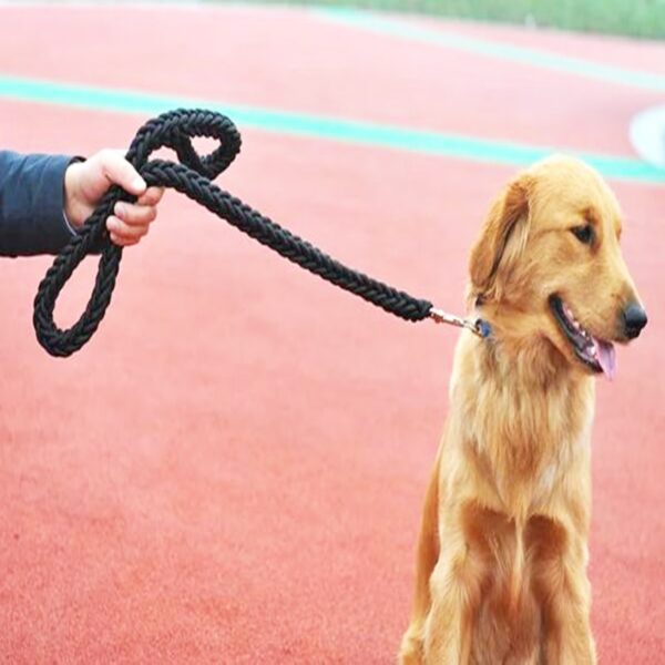 589943593 Nylon Dog Harness Leash For Medium Large Dogs Leads Pet Training Running Walking Safety Mountain Climb Big Dog NylonTenacityRope