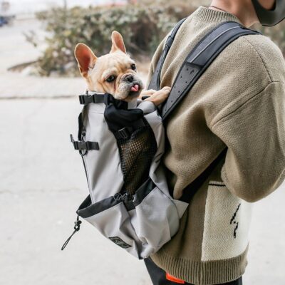 1109357003104.jpg Pet Dog Carrier Bag Carrier For Dogs Backpack Out Double Shoulder Portable Travel Backpack Outdoor Dog Carrier Bag Travel