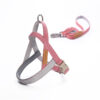 589943948 Dog Leash Pet Vest Chest Harness Medium And Large Dog French Dog Golden Retriever Dog Walking Rope