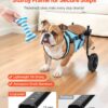 18b9e763-de24-461a-b684-5421b3cf372a.jpg Dog Wheelchair For Back Legs, Adjustable 2 Wheels Pet Wheelchair, Lightweight Dog Cart With Shock-Absorbing Wheels, Mobility Support Wheel Chair For Disabled Injured Dogs Up To 33lbs, Medium