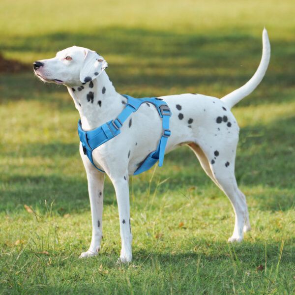 589943567 Dog Safety harness No-pull Function Type Durable and comfortable Pet Harness For puppy medium and large dogs 3M Reflective Dog