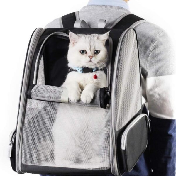 22589e1c-78e4-4231-8e15-bd90ad19866c.jpg Traveler Bubble Backpack Pet Carriers For Cats And Dogs