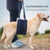 Adjustable dog leash with pet assistance strap