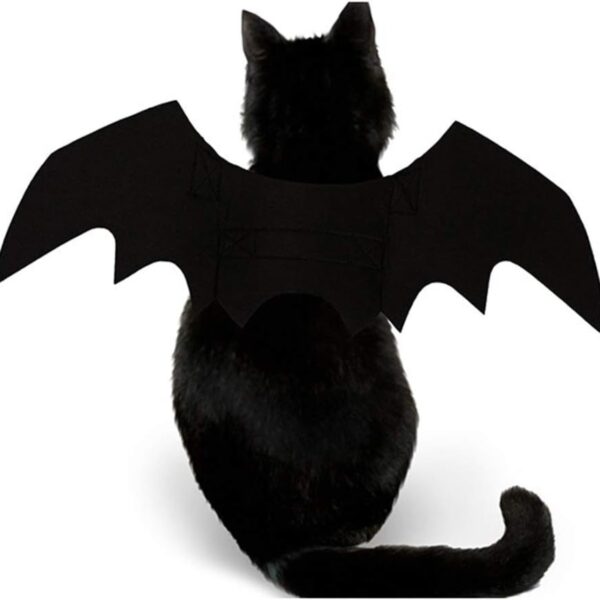 26226fb8-bfc9-4fd4-87f7-fa7e6d27c039.jpg Pet Cat Bat Wings For Halloween Party Decoration, Puppy Collar Leads Cosplay Bat Costume,Cute Puppy Cat Dress Up Accessories