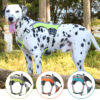 589943514 Pet Supplies Reflective Chest Strap Medium And Large Dogs Explosion-Proof Rush Dog Harness