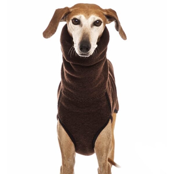 589943886 High Collar Pet Clothes for Medium Large Dogs Winter Warm Big Dog Coat Pharaoh Hound Great Dane Pullovers Mascotas Supplies