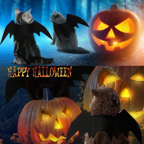 2c1420da-f776-46f7-8291-227ea7e19d85.jpg Pet Cat Bat Wings For Halloween Party Decoration, Puppy Collar Leads Cosplay Bat Costume,Cute Puppy Cat Dress Up Accessories