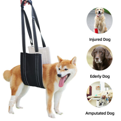 589943970 Adjustable dog leash with pet assistance strap