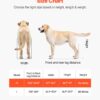 3fdb1771-d7ce-4bf5-89c9-82723b37d820.jpg Dog Wheelchair For Back Legs, Lightweight 2 Wheels Pet Wheelchair, Height, Width & Length Adjustable, Dog Cart With Shock-Absorbing Wheels, For Injured, Disabled Dogs 35-48 Lbs, Medium