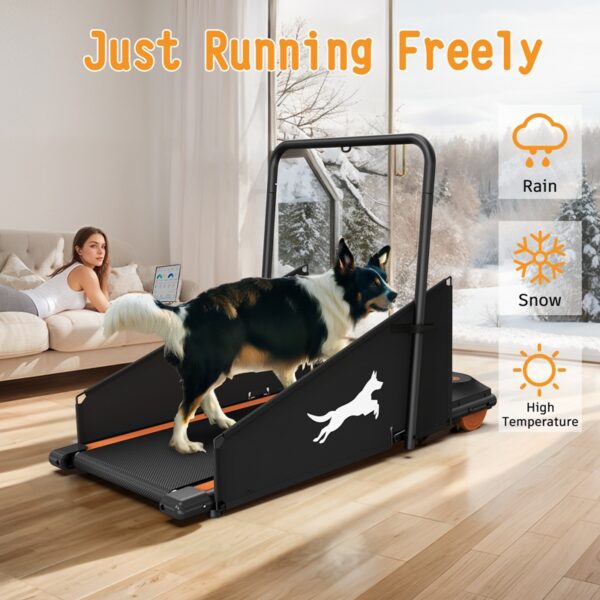 48397e52-77c6-4b52-a65c-bdd8f548cd91.jpg Dog Treadmill Small Dogs - Dog Treadmill For Medium Dogs - Dog Pacer Treadmill For Healthy & Fit Pets - Dog Treadmill Run Walk