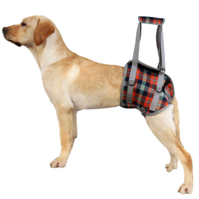 589943499 Pet Dog Leg Support Harness for Post-Surgery Recovery, Elderly Dogs, Large Breed Walking Assistance Brace