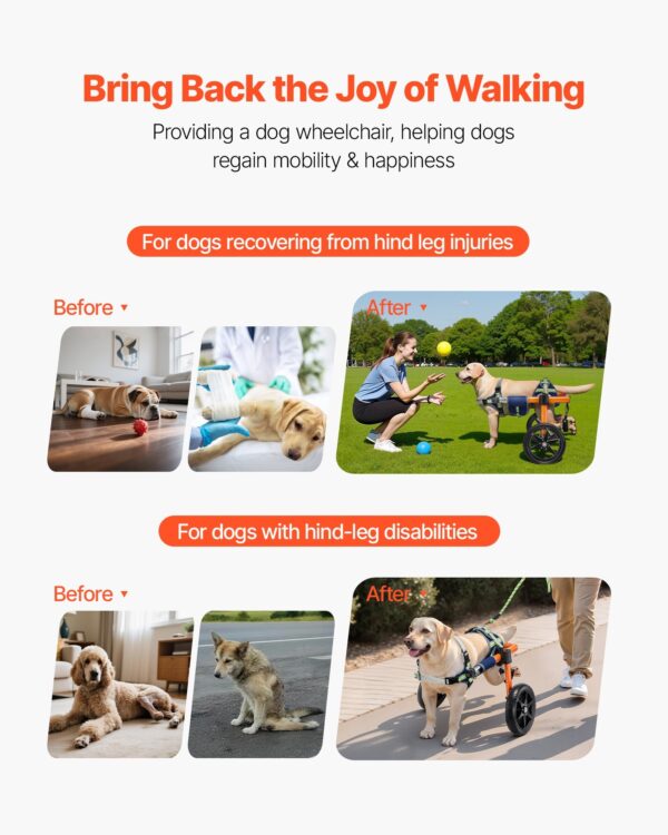 4ecc500d-9a26-4d6c-bd29-8cffcede374e.jpg Dog Wheelchair For Back Legs, Lightweight 2 Wheels Pet Wheelchair, Height, Width & Length Adjustable, Dog Cart With Shock-Absorbing Wheels, For Injured, Disabled Dogs 35-48 Lbs, Medium