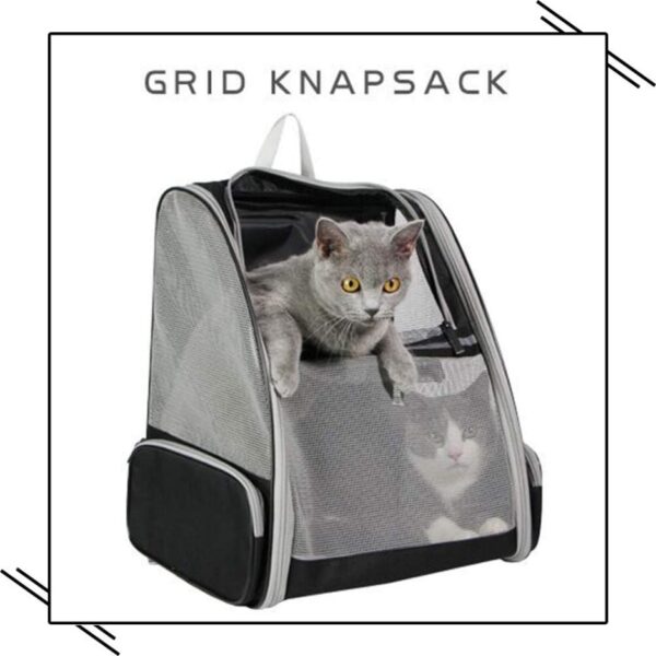 543164bb-e270-4d54-a9f0-adcecab8b372.jpg Traveler Bubble Backpack Pet Carriers For Cats And Dogs