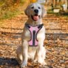 New Explosion-Proof Shock-Absorbing Comfortable Pet Chest Harness Dog Vest-Type Traction Chest Harness