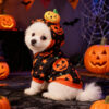 589943641 Halloween Pet Dog Clothes Cat Dog Halloween Pumpkin Two-Legged Hoodie Sweatshirt for Medium and Small Dogs Teddy Factory Direct Sale
