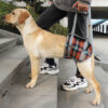 589943506 Pet Dog Leg Support Harness for Post-Surgery Recovery, Elderly Dogs, Large Breed Walking Assistance Brace